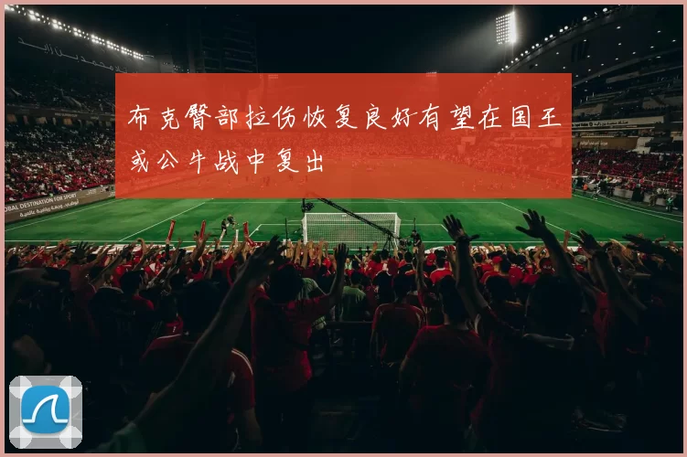 布克臀部拉伤恢复良好有望在国王或公牛战中复出