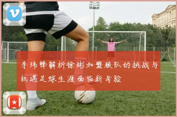 李玮锋解析徐彬加盟狼队的挑战与机遇足球生涯面临新考验