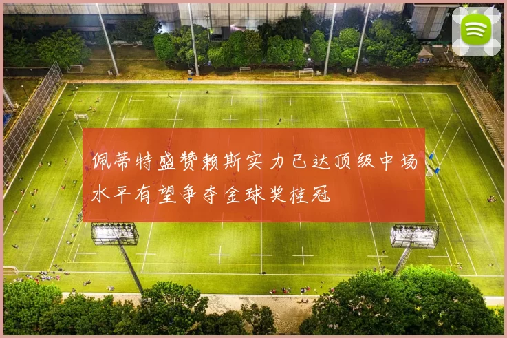 佩蒂特盛赞赖斯实力已达顶级中场水平有望争夺金球奖桂冠