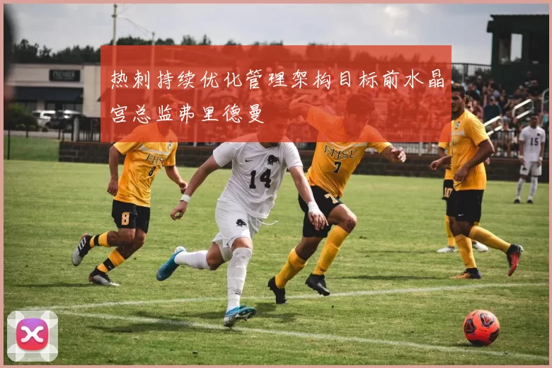 热刺持续优化管理架构目标前水晶宫总监弗里德曼